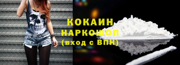 шишки Заволжск