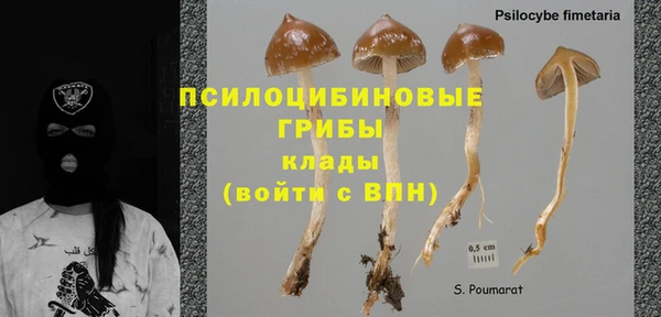 амф Заводоуковск