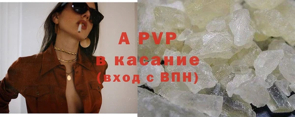 шишки Заволжск