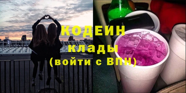 шишки Заволжск