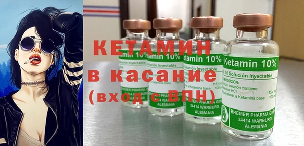 шишки Заволжск