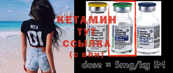 шишки Заволжск