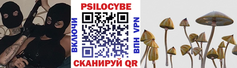 Купить  Дубна  Псилоцибиновые грибы MAGIC MUSHROOMS 