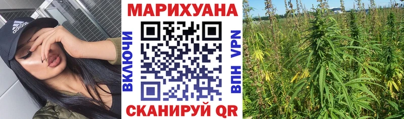 Купить где Дубна МАРИХУАНА сатива